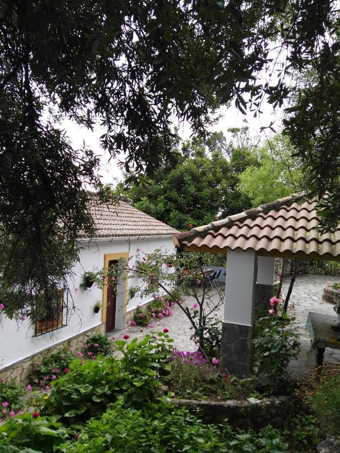 Casa El Cerro Vila El Bosque Exterior foto
