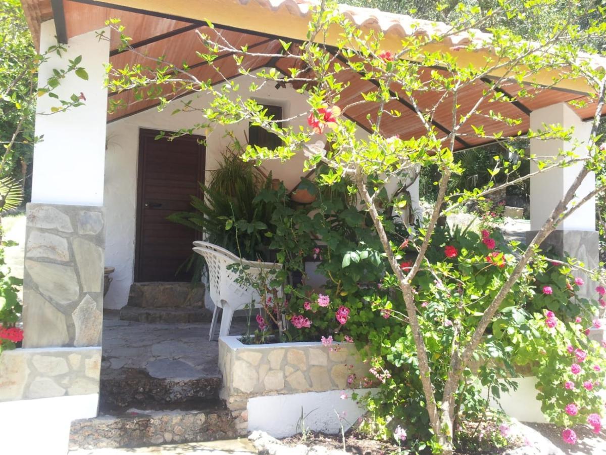 Casa El Cerro Vila El Bosque Exterior foto