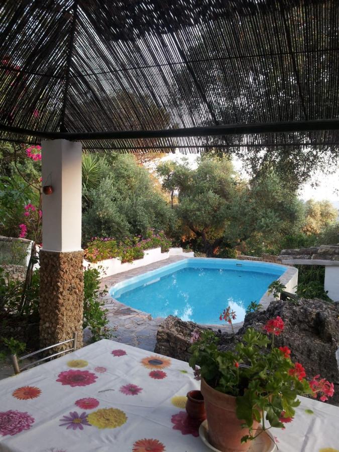 Casa El Cerro Vila El Bosque Exterior foto