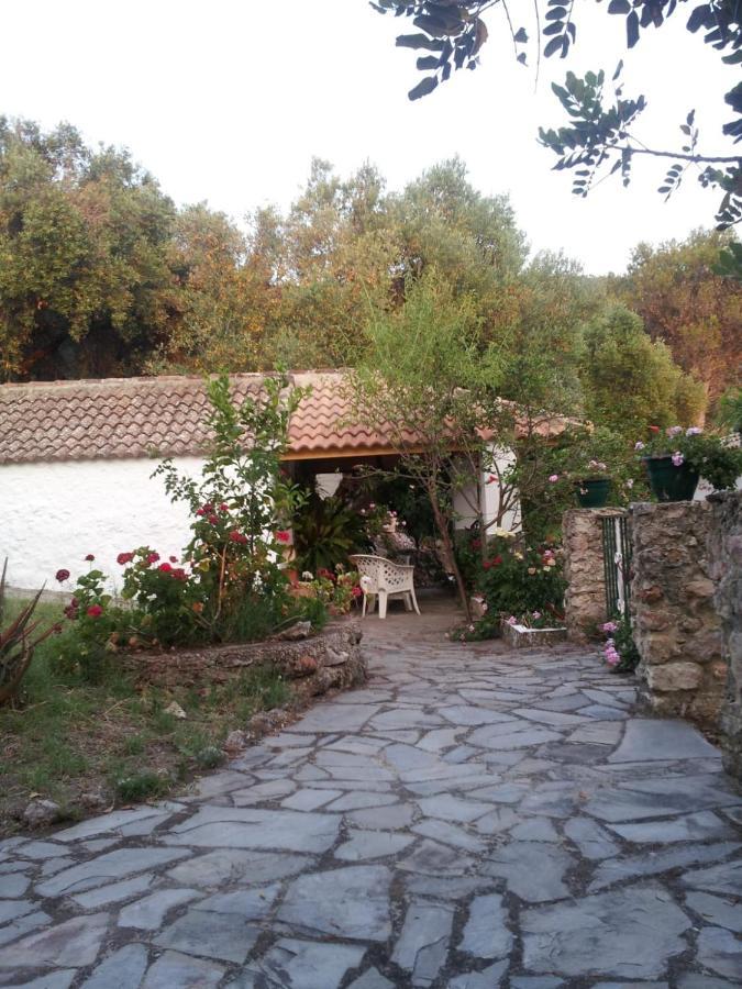 Casa El Cerro Vila El Bosque Exterior foto
